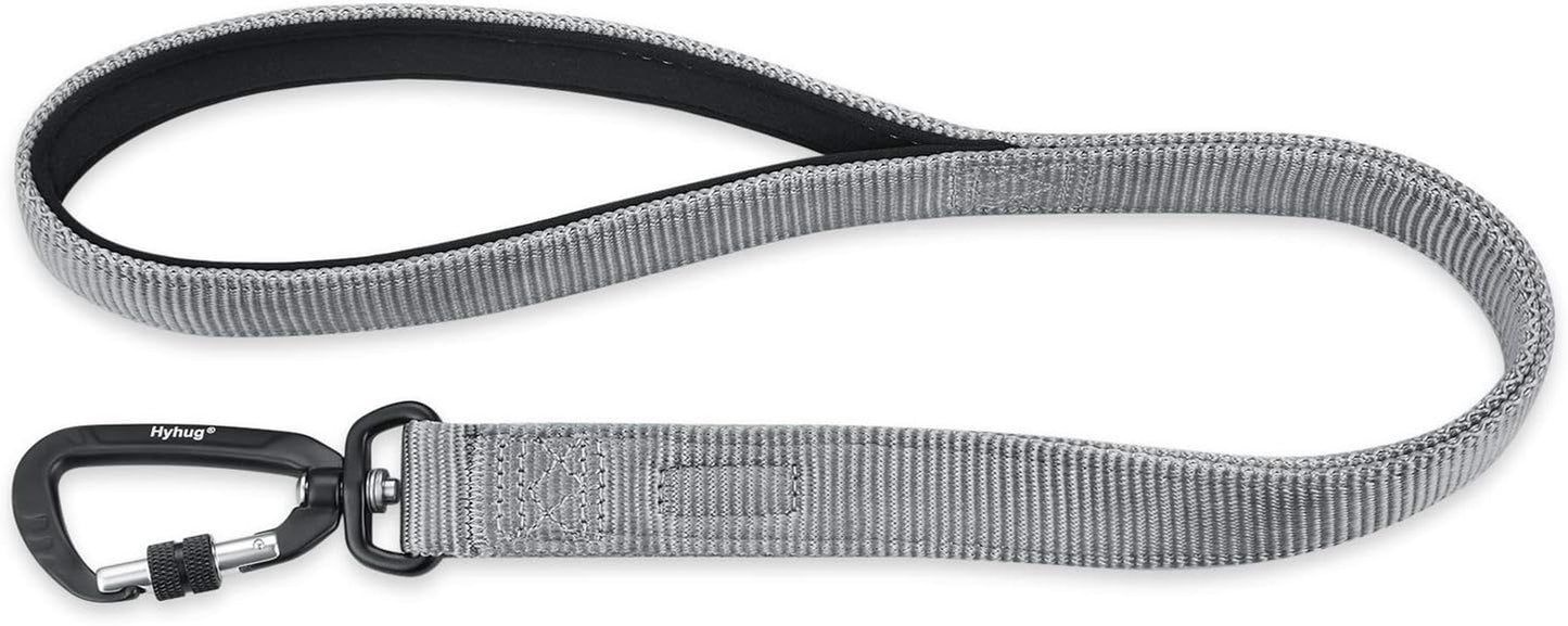 Pets 24 Inches Heavy Duty Short Leash with Comfortable Handle and Lightweight Aviation Aluminium Clip Lead- for Large Medium Dogs Daily Walking and Training. (Sleet Gray)